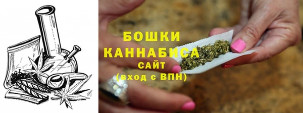 стафф Струнино