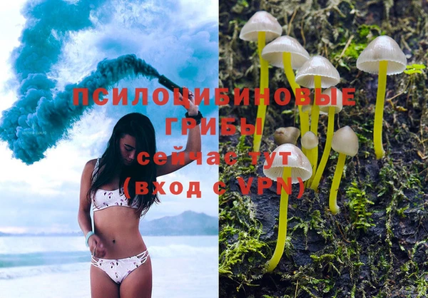 стафф Струнино