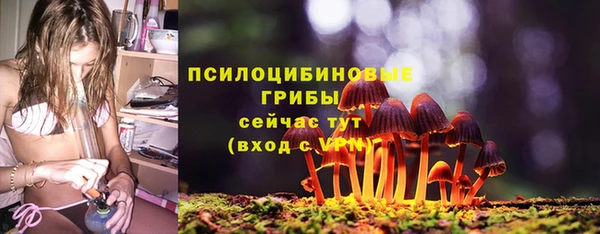 стафф Струнино