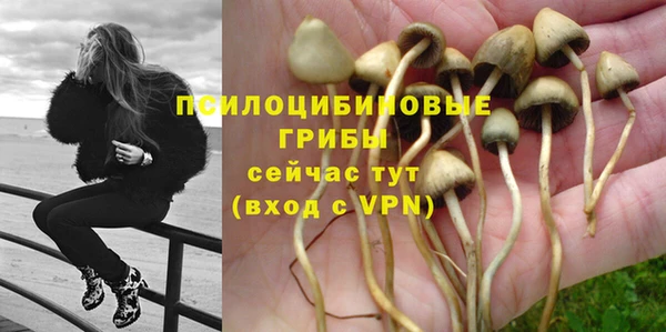 спиды Сясьстрой