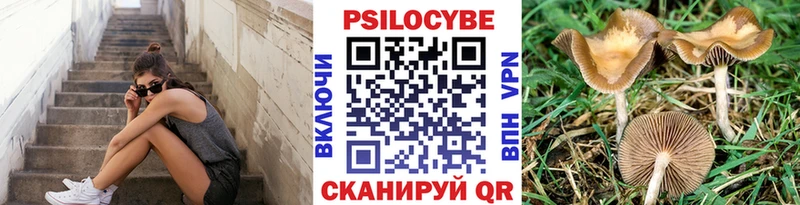 Купить закладки  Стрежевой  Галлюциногенные грибы мицелий 
